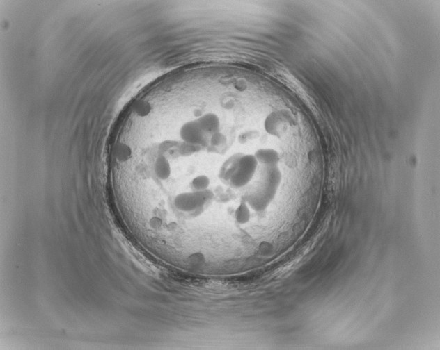 X0000088210787200706051256