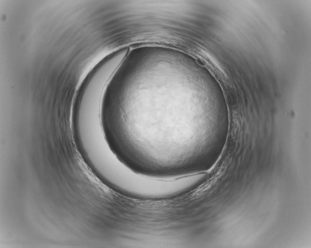 X0000088210788200706051256