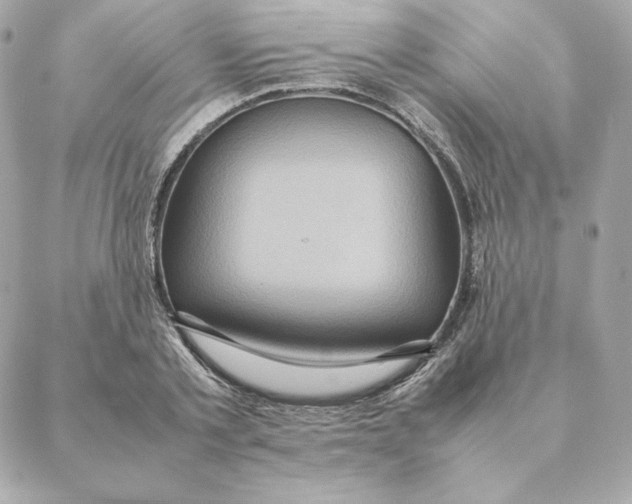 X0000088210789200706051256