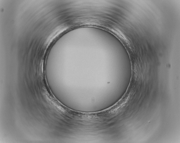 X0000088210790200706051256