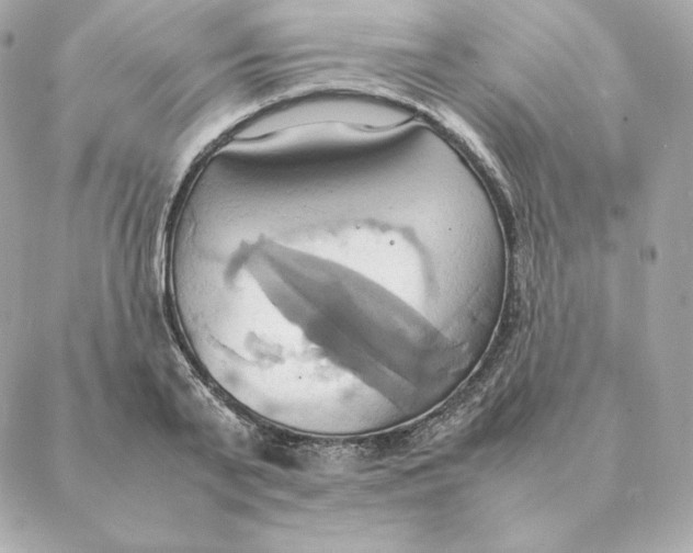 X0000088210791200706051256