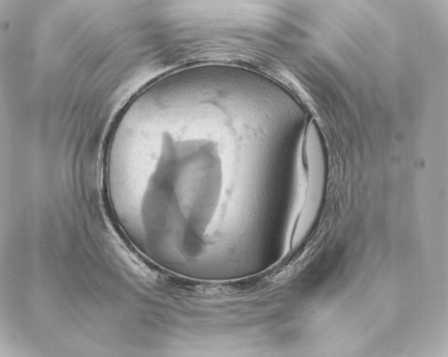 X0000088210795200706051255