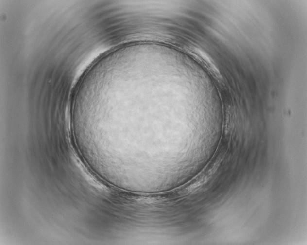 X0000088210796200706051255