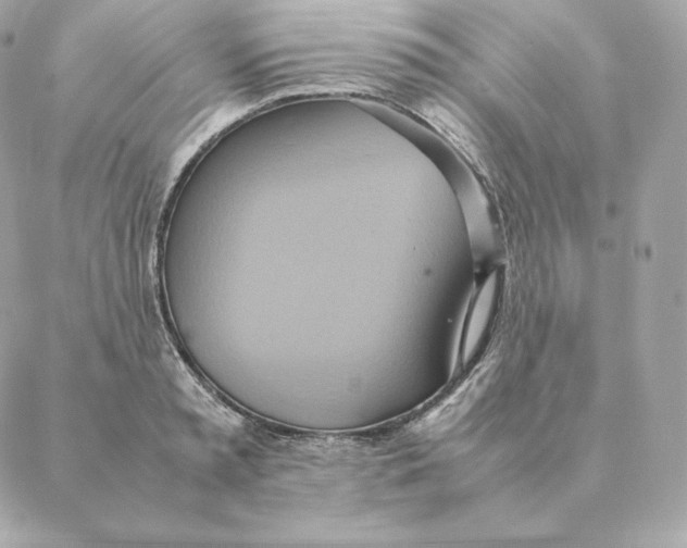 X0000088210797200706051255