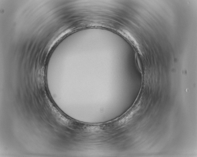 X0000088210798200706051255