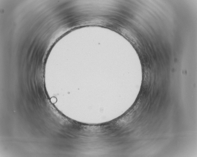 X0000088210800200706051255