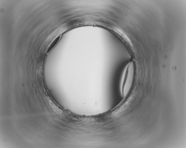 X0000088210801200706051255