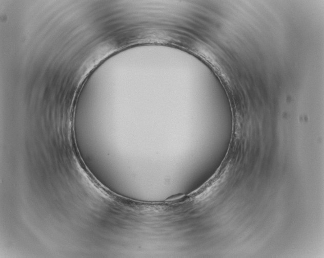 X0000088210802200706051255