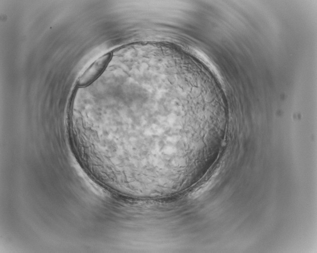 X0000088210803200706051255