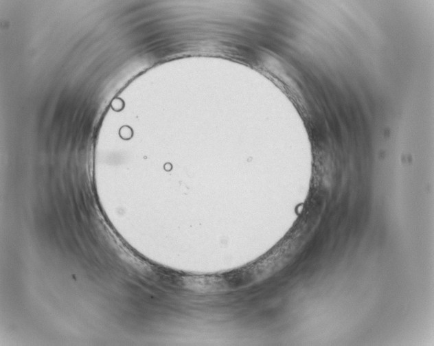 X0000088210804200706051255