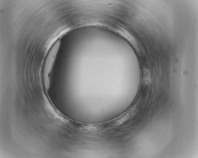 X0000088210806200706051255