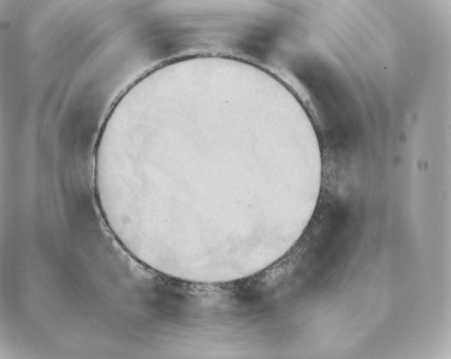 X0000088210807200706051255