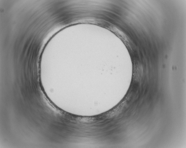 X0000088210808200706051255