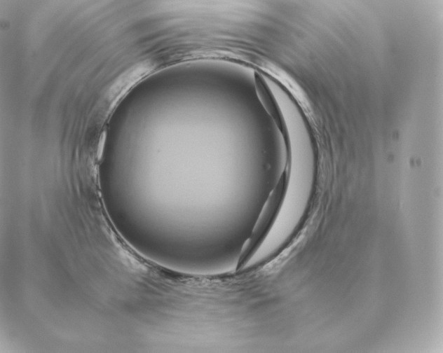 X0000088210809200706051255