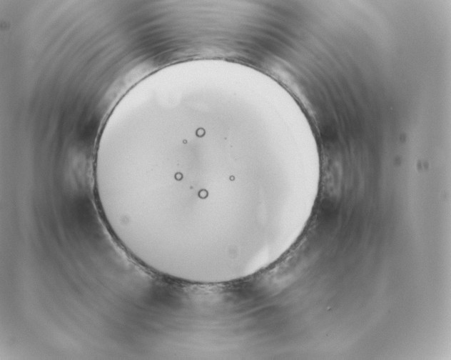 X0000088210810200706051255