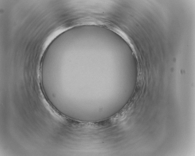 X0000088210811200706051255