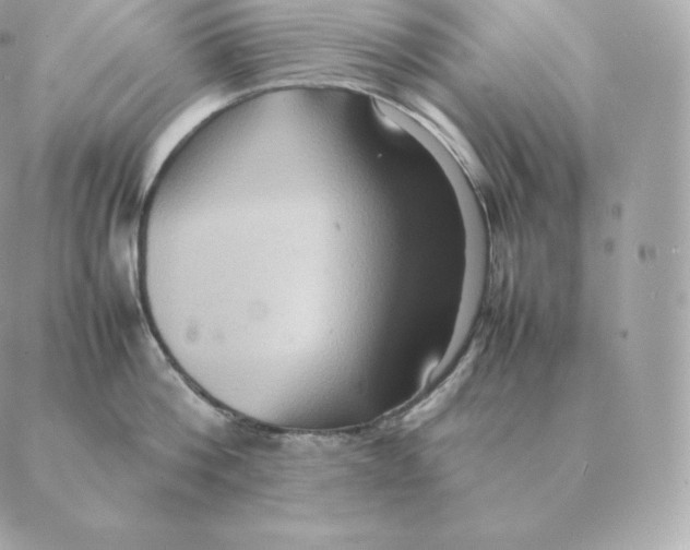 X0000088210812200706051255