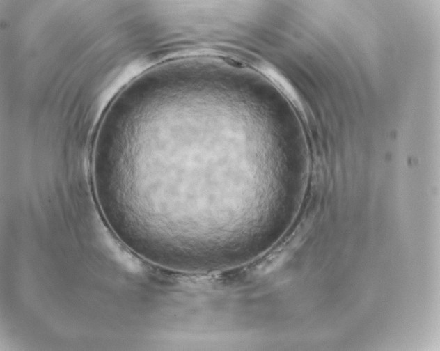 X0000088210813200706051255