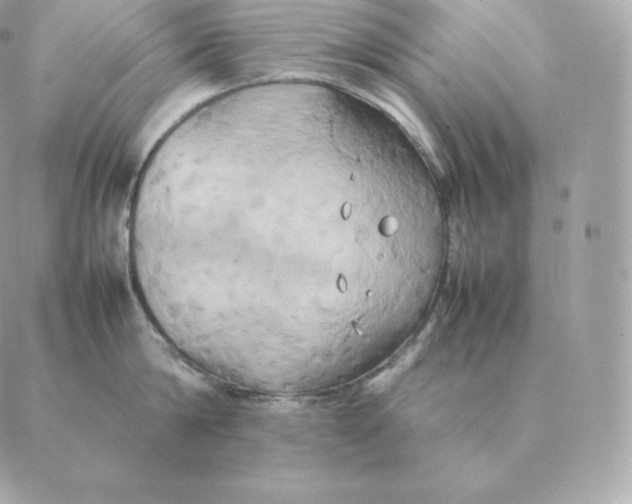 X0000088210814200706051255