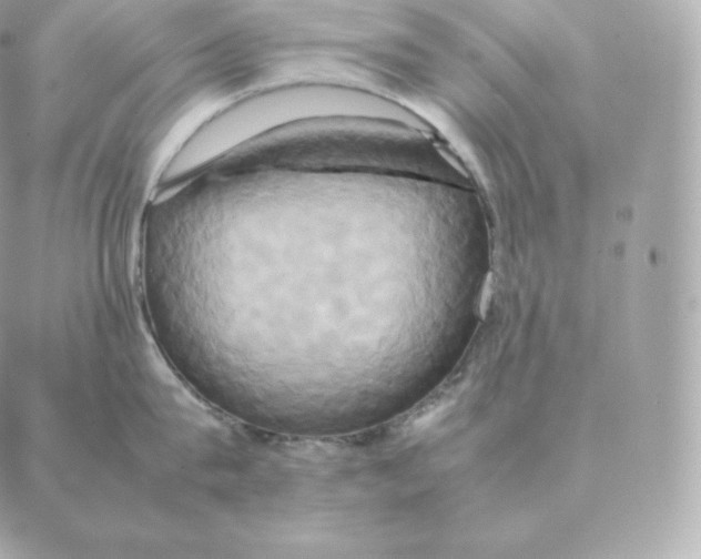 X0000088210815200706051255