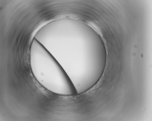 X0000088210816200706051255