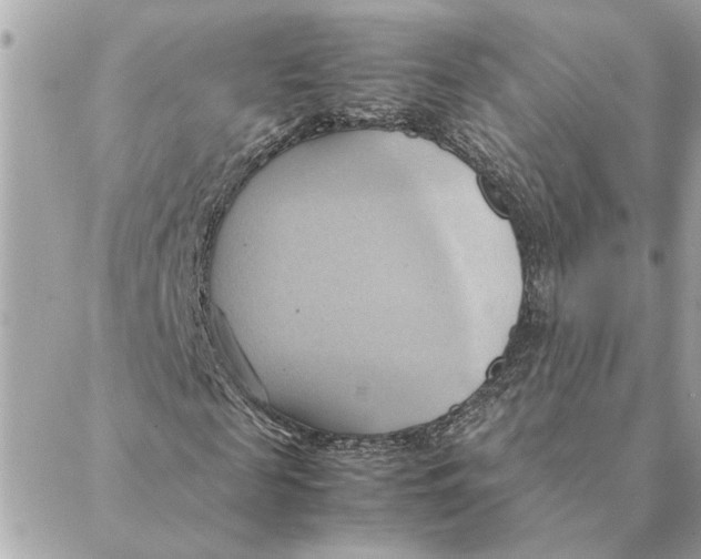 X0000088210817200706051254