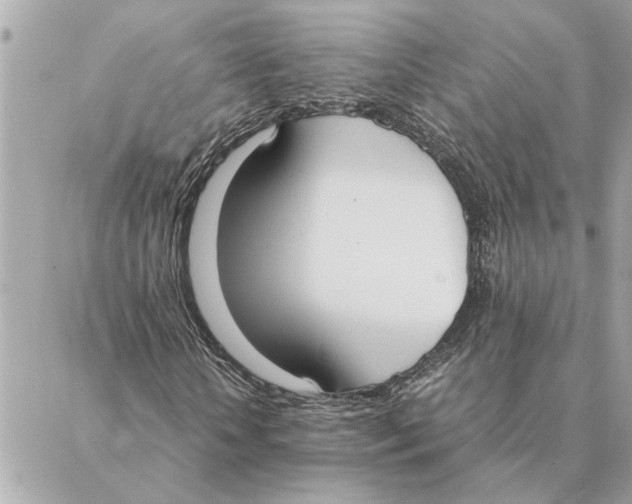 X0000088210818200706051254