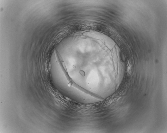 X0000088210819200706051254