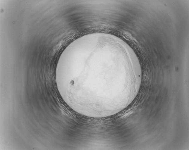 X0000088210820200706051254