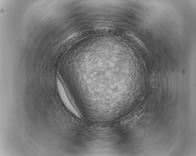 X0000088210821200706051254