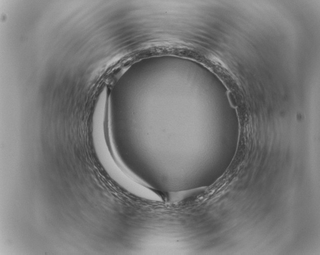 X0000088210822200706051254