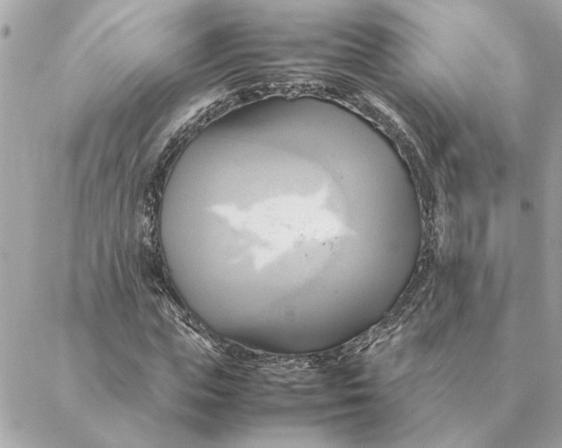 X0000088210823200706051254