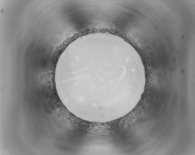 X0000088210824200706051254