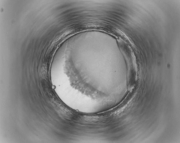 X0000088210825200706051254