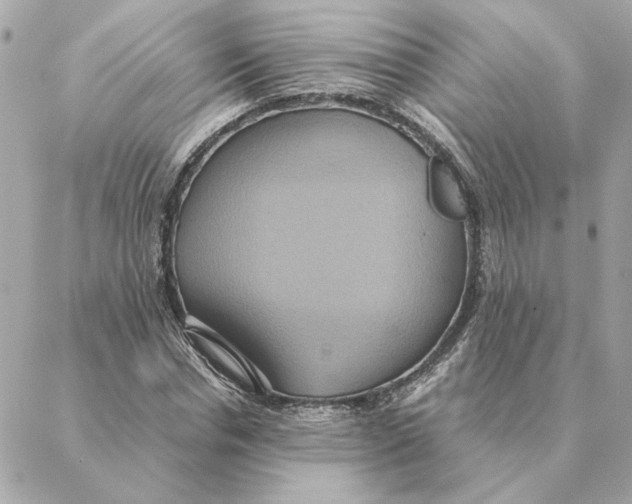 X0000088210826200706051254