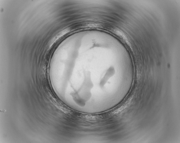 X0000088210827200706051255