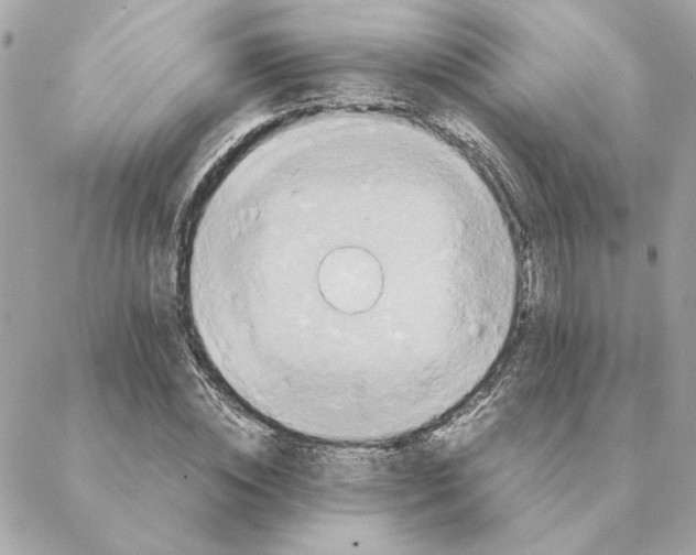 X0000088210828200706051255