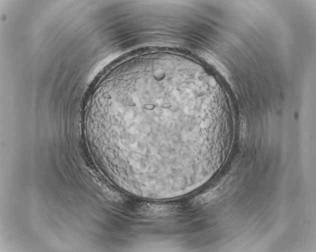 X0000088210829200706051255