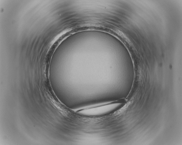 X0000088210830200706051255