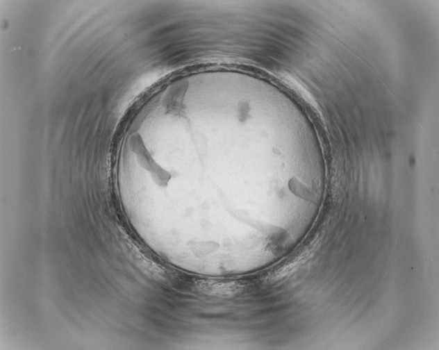 X0000088210831200706051255