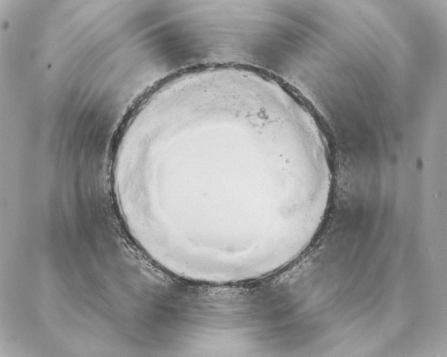 X0000088210832200706051255