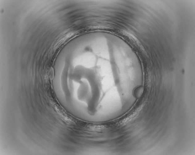 X0000088210833200706051255