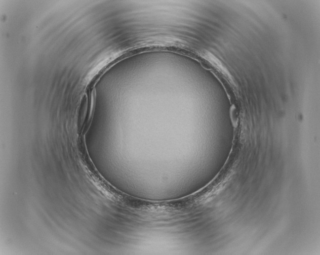 X0000088210834200706051255