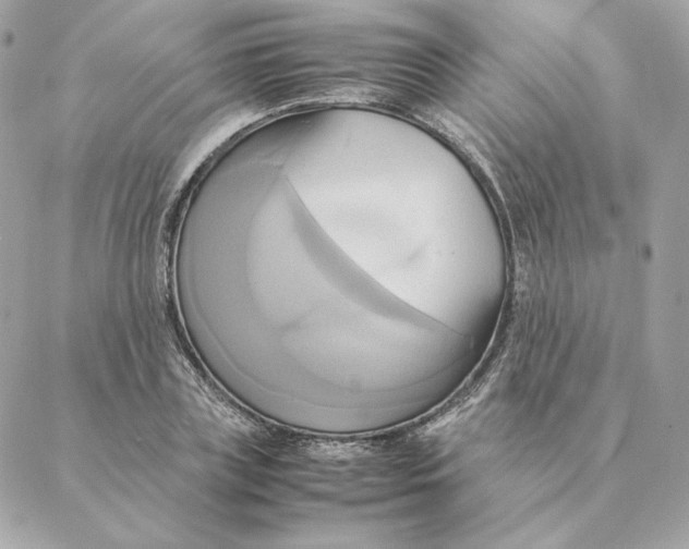 X0000088210835200706051255