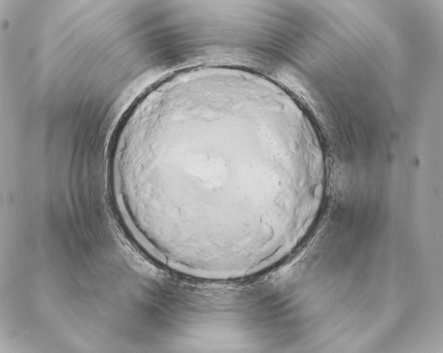 X0000088210836200706051255