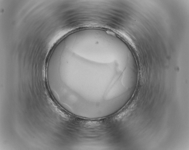 X0000088210839200706051255