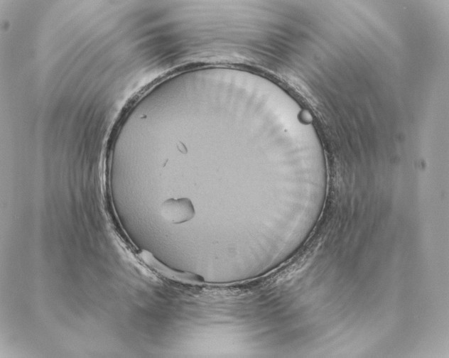 X0000088210840200706051255