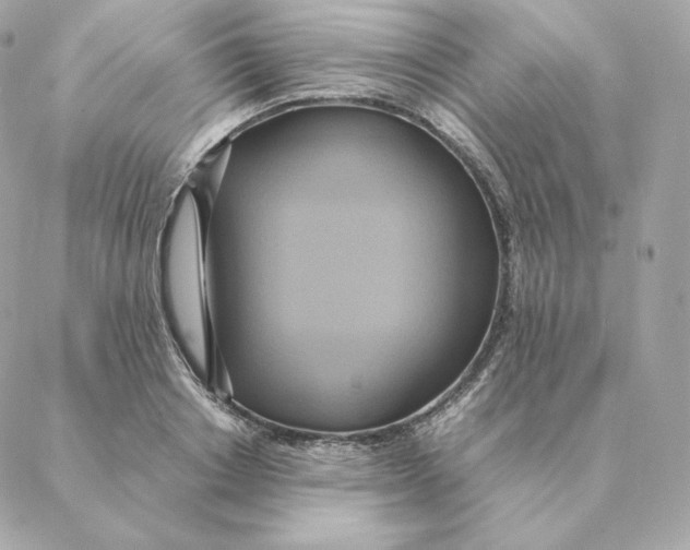 X0000088210842200706051255