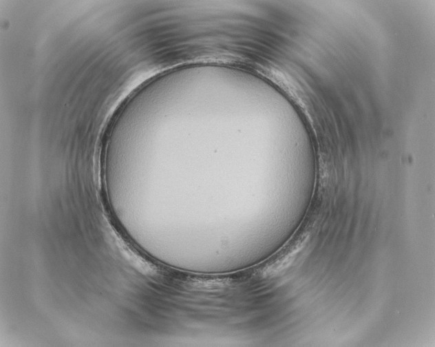 X0000088210843200706051255