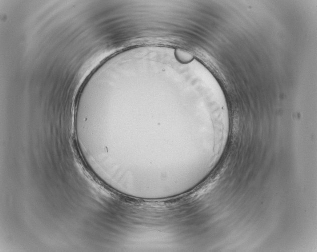 X0000088210844200706051255